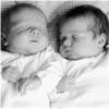 Experienced nanny needed for newborn twins!
