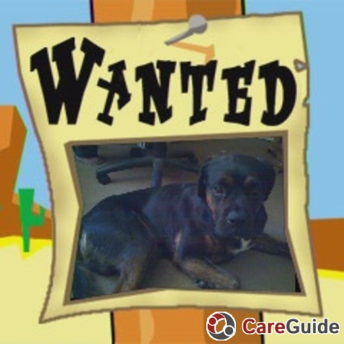 Wanted