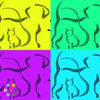 Bostons Best! Dog walkers and pet services!