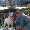 Joe's Mutts!
