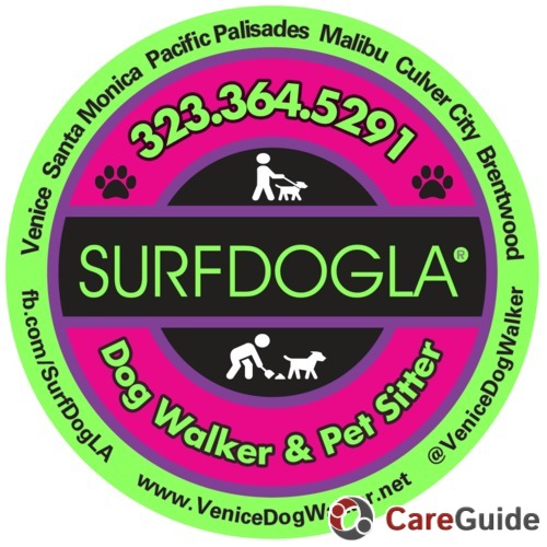 Thefinalsurfdoglogo